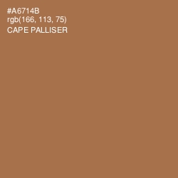 #A6714B - Cape Palliser Color Image